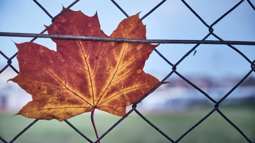 50 Affirmations for Letting Go to Free Yourself with These Powerful Words