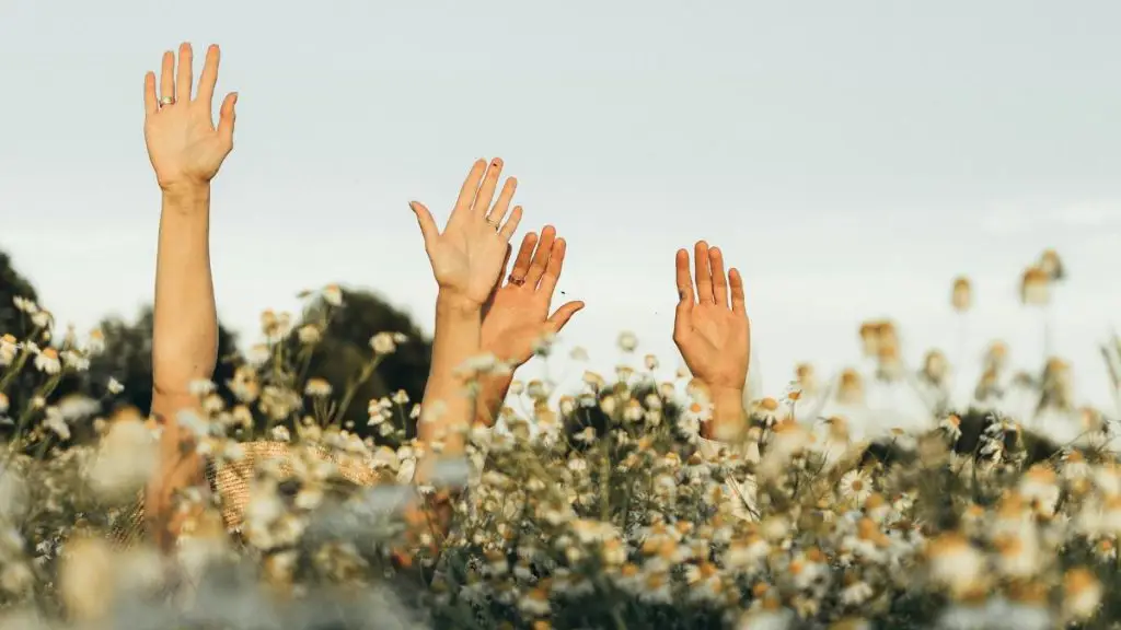 The 21-Day Manifestation Challenge for Abundance and Alignment