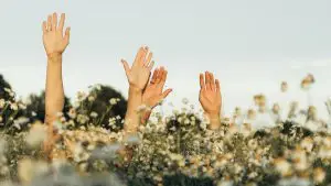 The 21-Day Manifestation Challenge for Abundance and Alignment