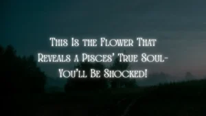 What Is the Pisces Flower Discover the Meaning Symbolism and Spiritual Connection of Pisces Birth Flowers