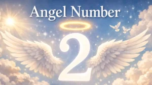 Angel Number 2 Meaning A Gentle but Powerful Message of Trust and Divine Support