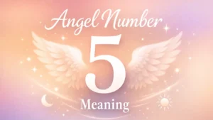 Angel Number 5 Meaning and the Spiritual Message of Change